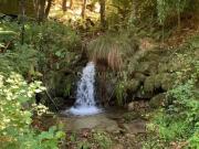 Quinta Floresta Encantada – Um Paraíso Natural no Norte...