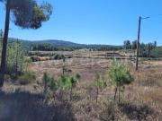 Terreno Rústico / Fundão, Enxames