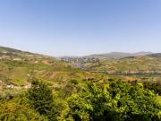 Quinta Histórica com Vinha no Alto Douro Vinhateiro