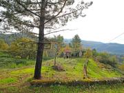 Quinta isolada Amarante