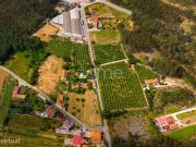 Quinta Kiwis, 1,7ha, 2 casas, piscina, Estrada Real,...