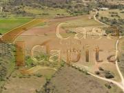 Quinta localizada na região nobre do Rio Douro Superior...