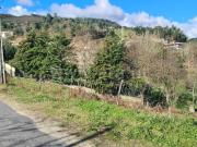 Quinta / Marco de Canaveses, Penhalonga e Paços de Gaiolo