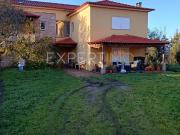 Quinta, moradia premium e terreno em Parque Natural...