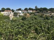 QUINTA NA VILA DE MORA