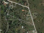 # Quinta nas Sobreiras Altas Oferta Imperdível um sonho...