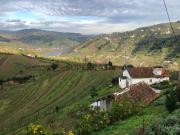 Quinta no Douro 3,8 hectares
