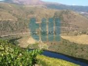 Quinta no Douro