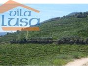 Quinta no Douro Margem Esquerda