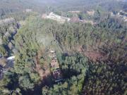 Quinta Palmaz Oliveira de Azemis