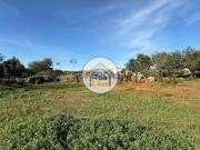 Quinta para reconstruir em Alcarias Baixas, Cachopo