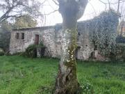 Quinta para Recuperação em Briteiros Santo Estêvão,...