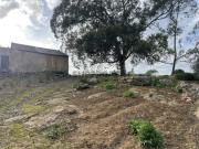 Quinta para recuperar