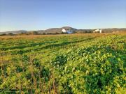 Quinta para recuperar com 65.000m2 a 5 kms de Faro
