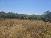 Quinta para Venda Abela Santiago do Cacém