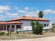 QUINTA PARA VENDA EM PALMELA COM 3 EDIFICAÇÕES E VINHA A...