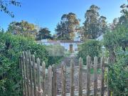 Quinta para venda em Vila Viçosa