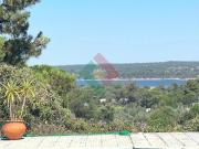 Quinta, para venda, Ponte de Sor Montargil