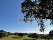 QUINTA PARA VENDA PROXIMO DE ESTREMOZ