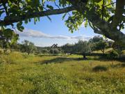 Quinta perto de Castelo Branco