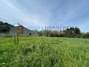 Quinta Rustica Com Ruina na Aldeia Raposeira
