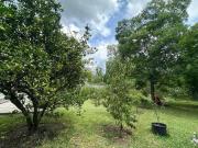 Quinta San Pedro El Alamo