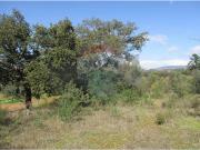 Quinta T0 à venda em Castelo Branco