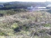 Quinta T0 à venda em Castelo Branco