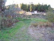 Quinta T0 à venda em Castelo Branco