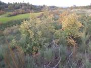 Quinta T0 à venda em Fundão