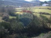 Quinta T0 à venda em Guarda