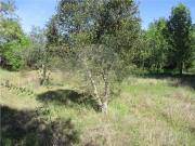 Quinta T0 à venda em Penamacor