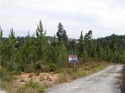 Quinta T0 à venda em Sobrena