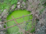 Quinta T0 à venda em Vila Velha de Ródão