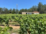 Quinta T0 Venda em Antas e Matela,Penalva do Castelo...