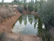 Quinta T1 à venda em Castelo Branco