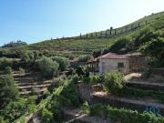 Quinta T1 em Tabuaço de 108,00 m²