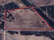 Quinta T2+2 a 10 km de Porto Covo com possível...