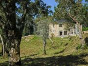 Quinta T2 à venda em Arouca Quinta T2 à venda em Arouca