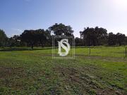 Quinta T2 em Cercal do Alentejo