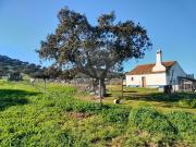 Quinta T3 à venda em Alandroal