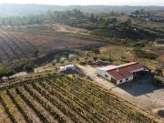 Quinta T3 à venda em Castelo Branco