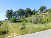 Quinta T3 / Covilhã, Cantar Galo