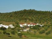 Quinta T3 em Amieira E Alqueva de 322,00 m²