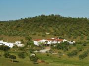 Quinta T3 em Amieira E Alqueva de 322,00 m²