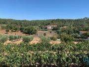 Quinta T3 em Cumeada e Marmeleiro de 140,00 m²