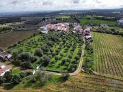 Quinta T4 em Arcos de 204,00 m²