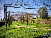 Quinta T4 em Argela de 185 m²