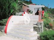 Quinta T4 em Sé e São Lourenço, Portalegre Quinta T4 em Sé e São Lourenço, Portalegre