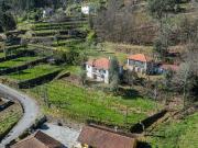 Quinta T5 à venda em Celorico de Basto